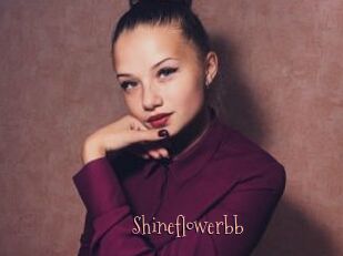Shineflowerbb