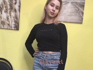 Sibleyarnet