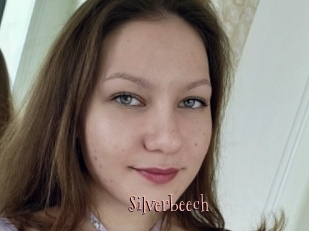 Silverbeech