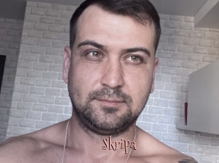 Skripa