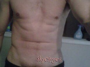Sky69logans