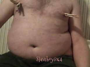 Slaveboy3164