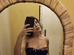 Spiruline
