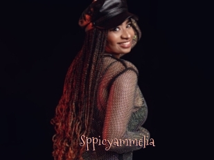 Sppicyammelia