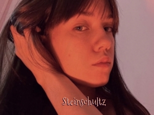 Steinschultz