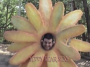 TEDDY_BEAR_SEXY