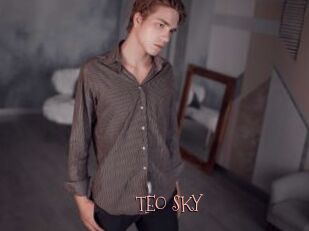 TEO_SKY