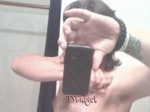 TSFidget