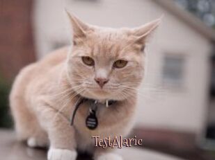 TestAlaric