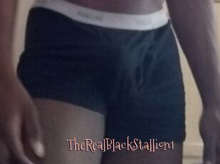 TheRealBlackStallion1