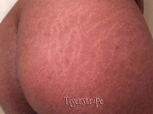 Tigerstripe