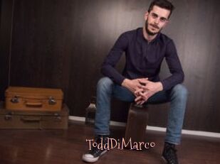 ToddDiMarco
