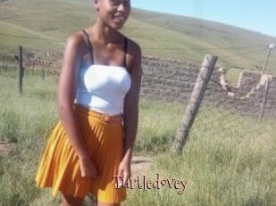 Turtledovey