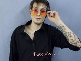 Tamerapollo
