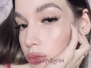 Tamipelligrini
