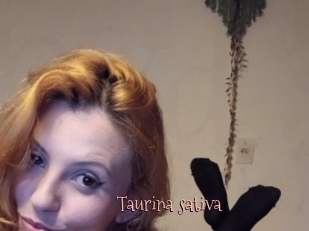 Taurina_sativa