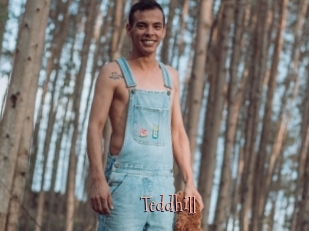 Teddhill