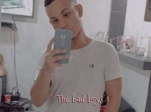 The_bad_boys_1