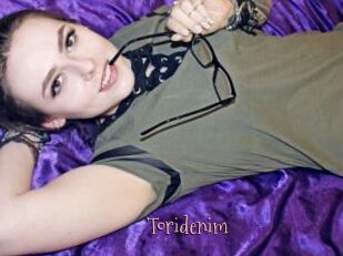 Toridenim