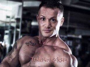 Tridentmuscles4u