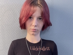 Udelehallett