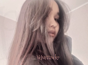 Velvettneko