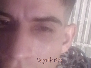 Vergudo1235