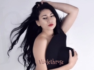 Viiolethrose