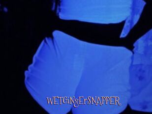 WETGiNgErSNAPPER