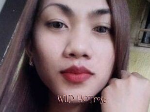 WILD_HOTrose