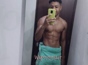 Wapomonster