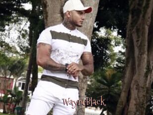 WayneBlack