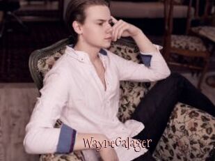 WayneGalager