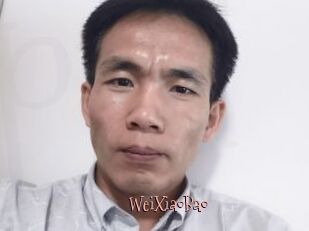 WeiXiaoBao