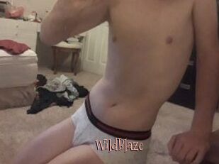WildBlaze
