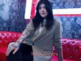 WildCasandra