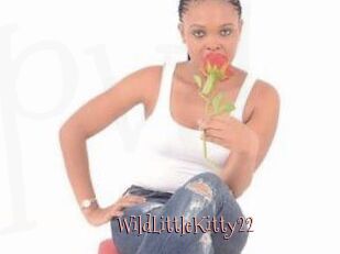 WildLittleKitty22