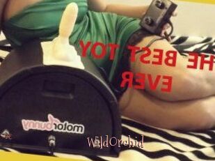 WildOrchid_