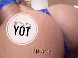 Wild_Bunny_