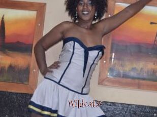 Wildcat30
