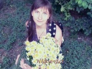 Wildcumster