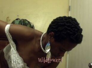 Wildflower1