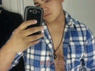 Wolfboy1213