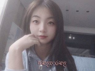 Wangzcxiang