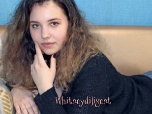 Whitneydiligent