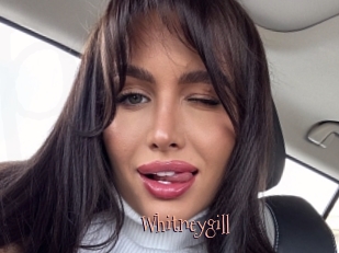Whitneygill