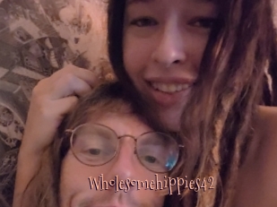 Wholesomehippies42