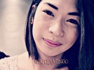 WildFLAMINGO