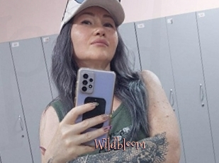 Wildbloom
