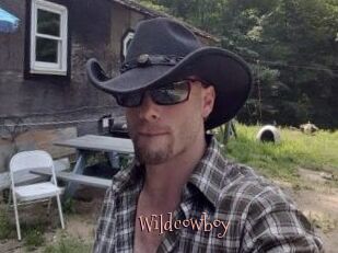 Wildcowboy